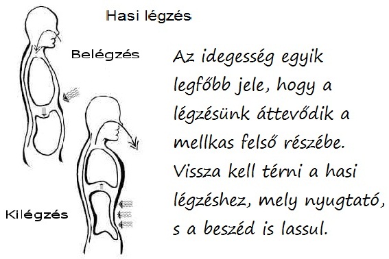 hasi-legzes-nyugtato